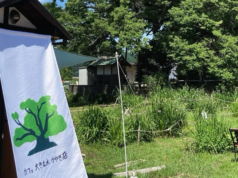 カフェ大きな木けやき店