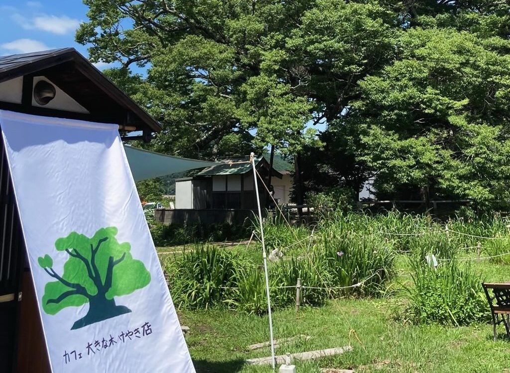 カフェ大きな木けやき店