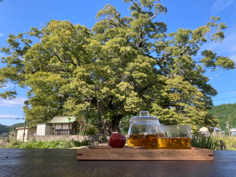 カフェ大きな木けやき店